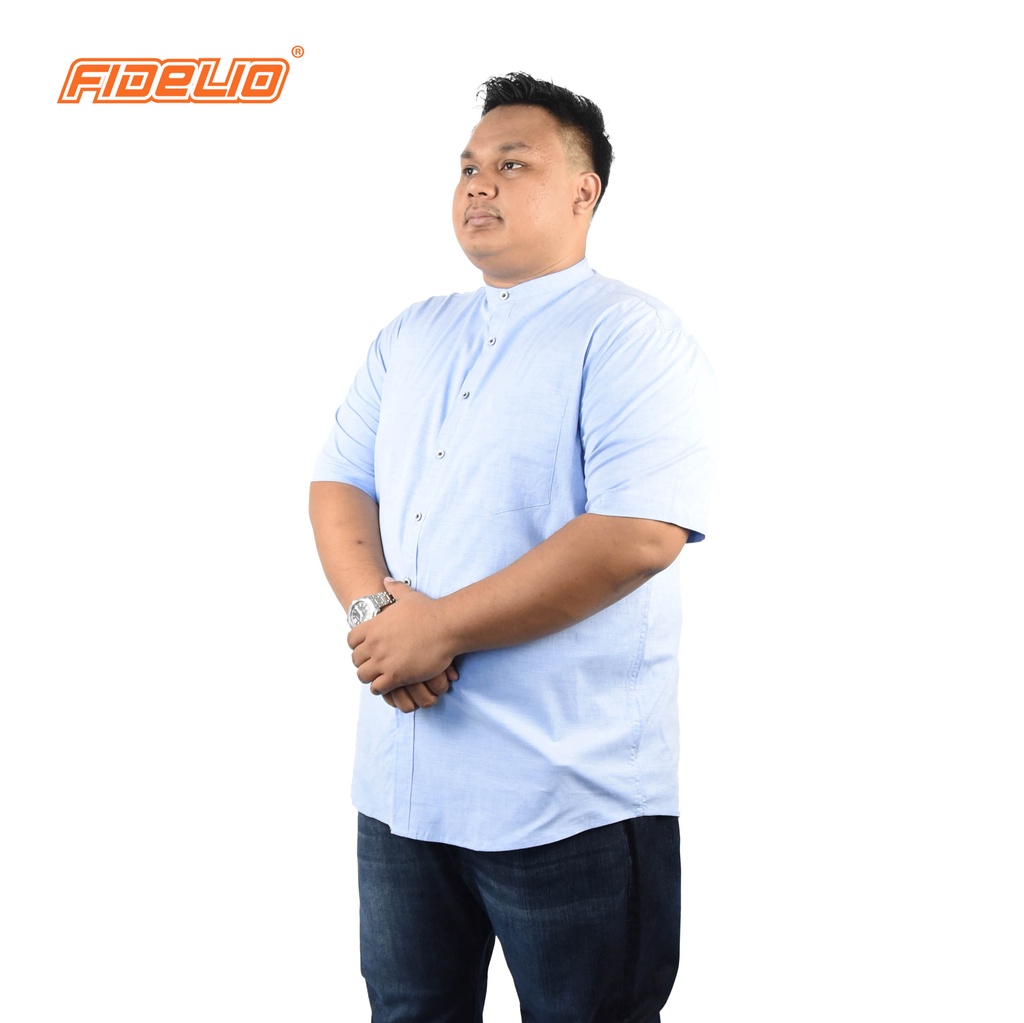 FIDELIO PLUS Signature Mandarin Collar Shirts - BLUE(A)