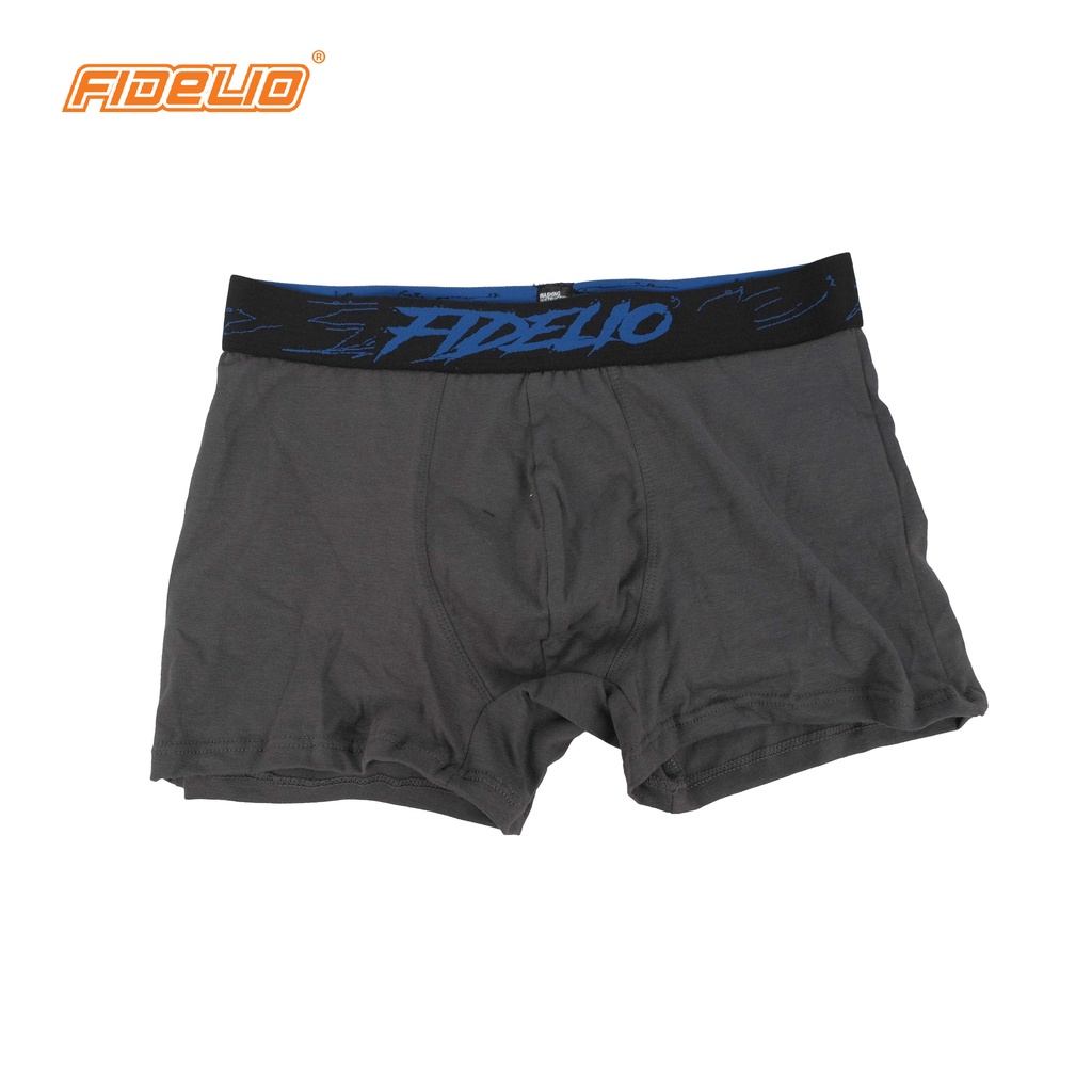 Fidelio 2-Pack Assorted Colors Boxer Briefs