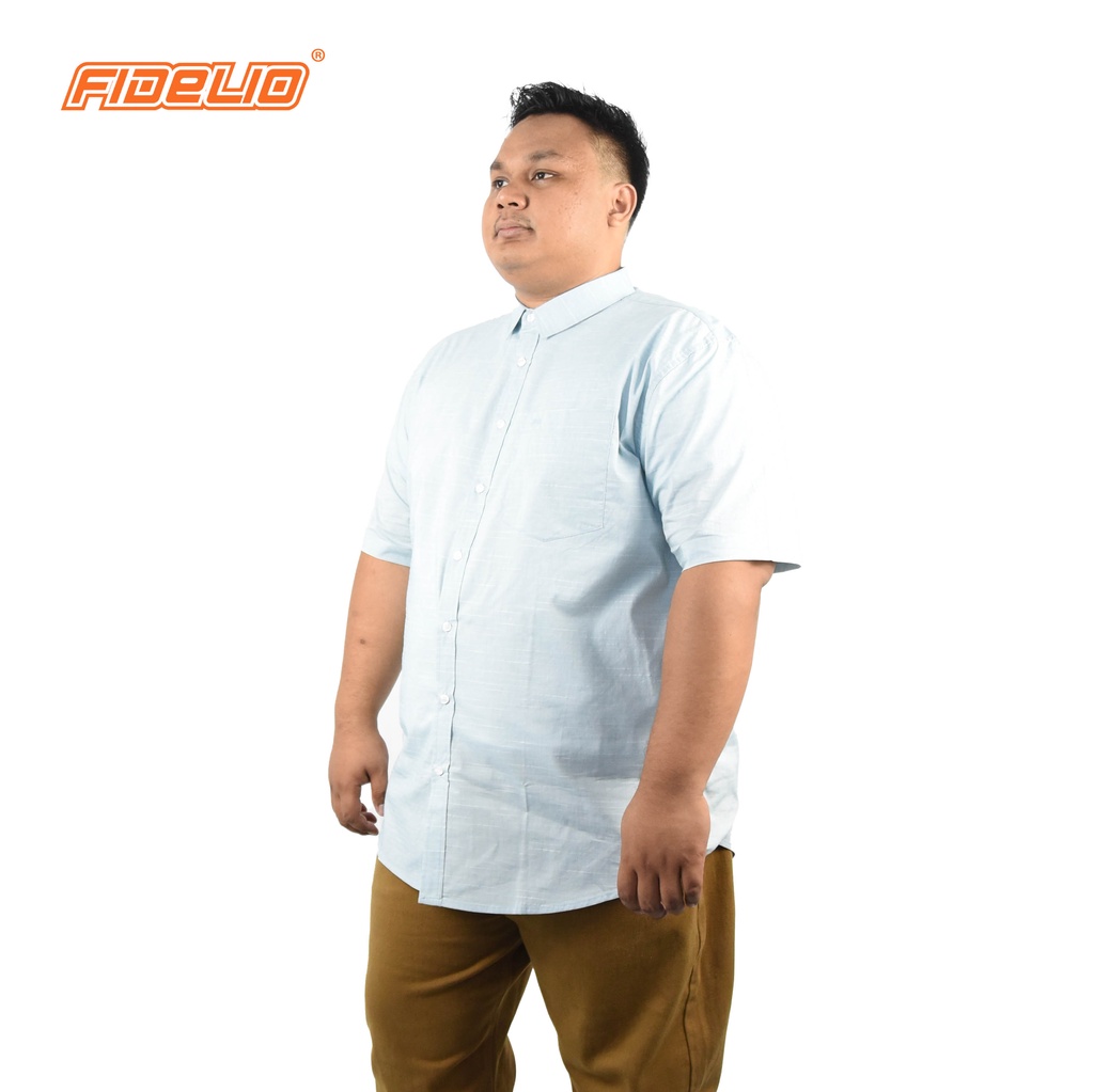 FIDELIO PLUS Dobby Lines Short Sleeves Shirts - GREEN(D)