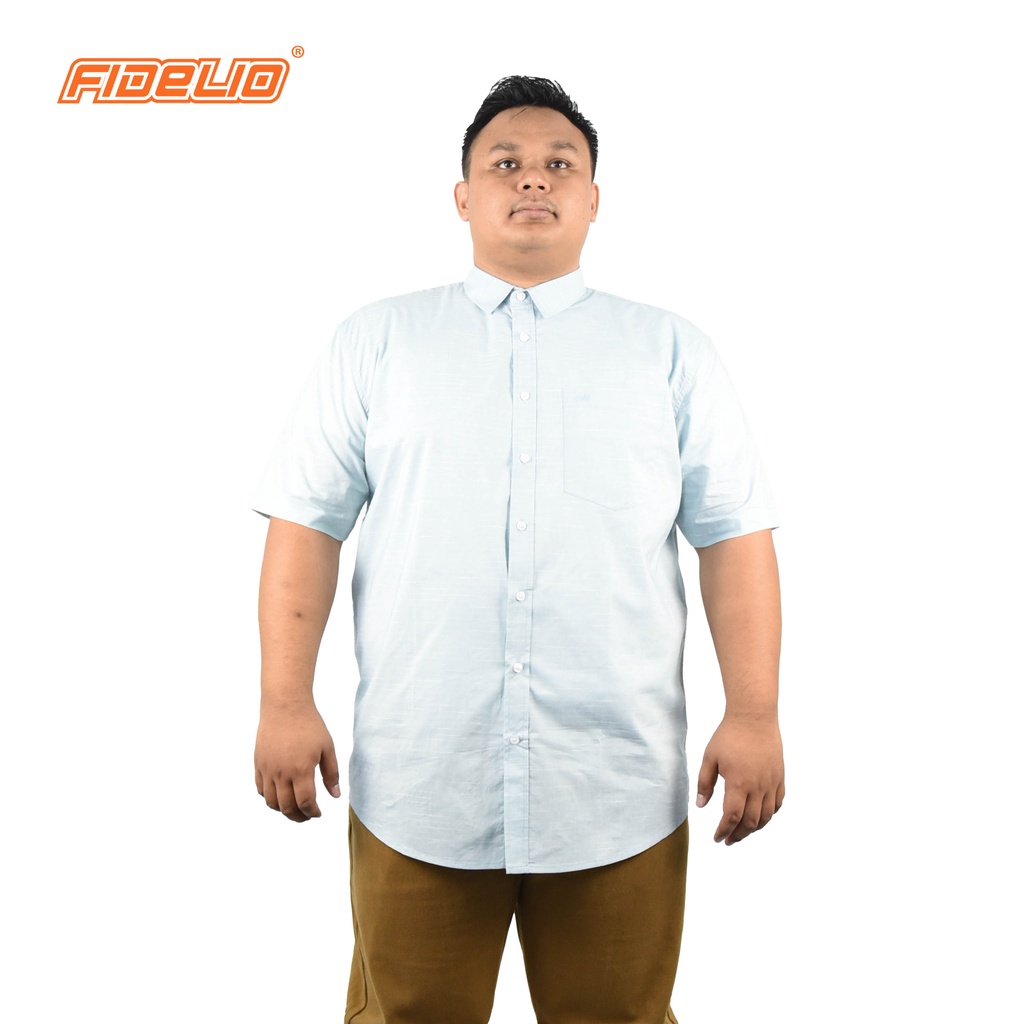 FIDELIO PLUS Dobby Lines Short Sleeves Shirts - GREEN(D)