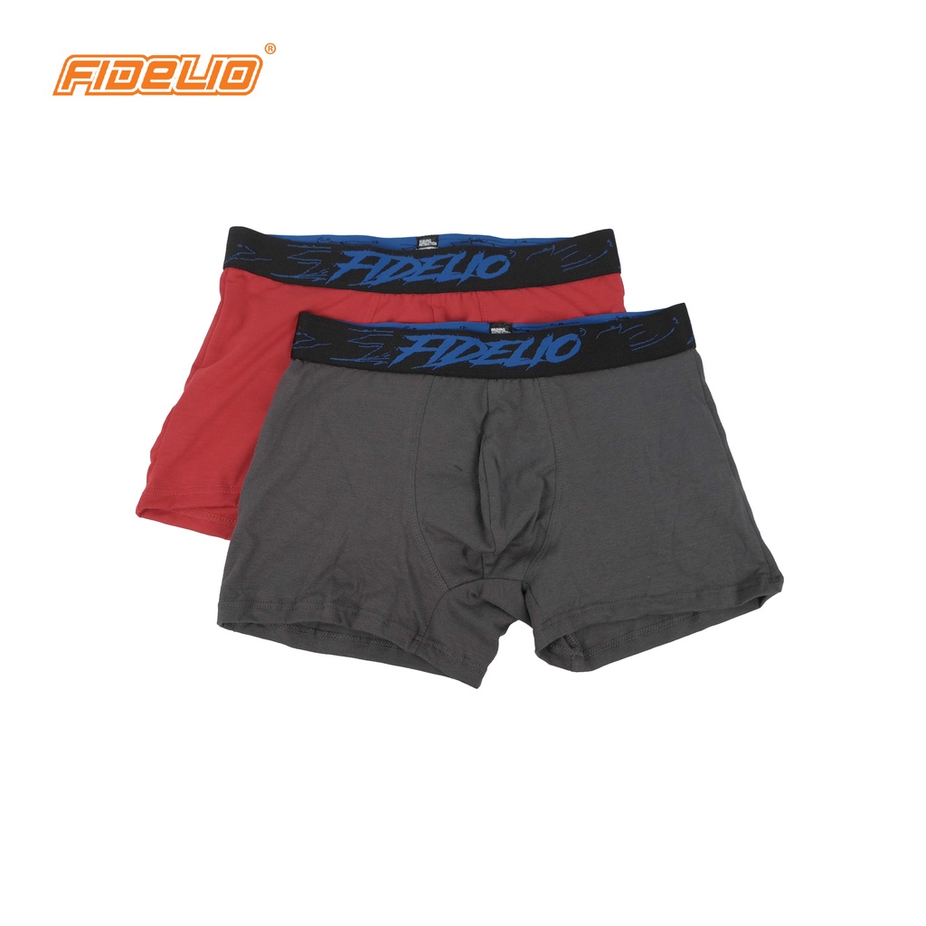 Fidelio 2-Pack Assorted Colors Boxer Briefs