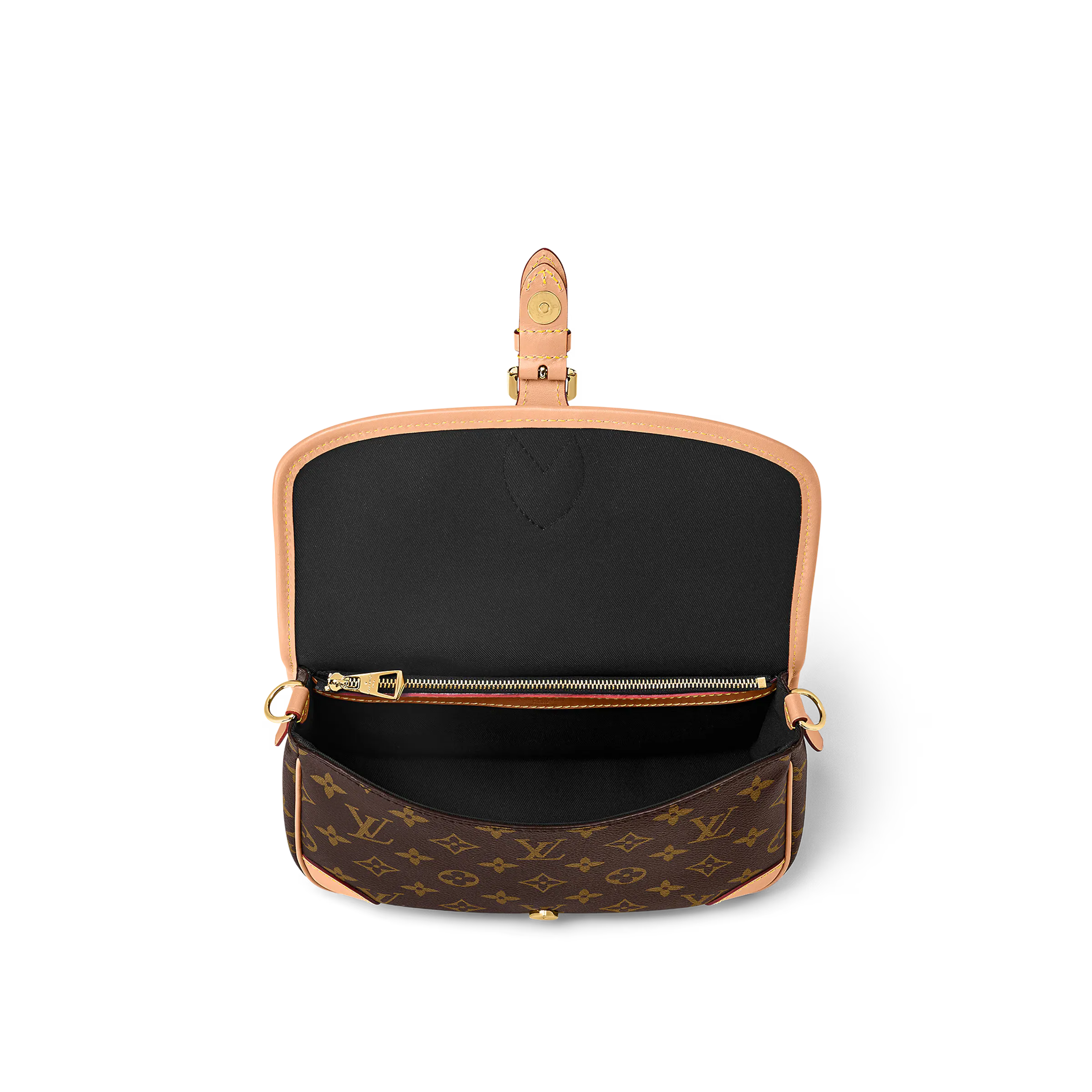 LOUIS VUITTON（ルイヴィトン）ディアヌ NM PM