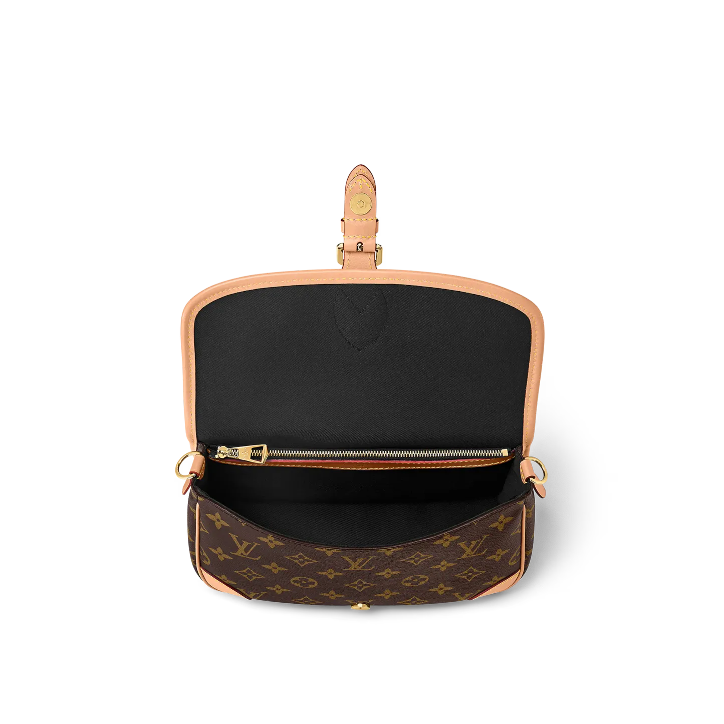 LOUIS VUITTON（ルイヴィトン）ディアヌ NM PM