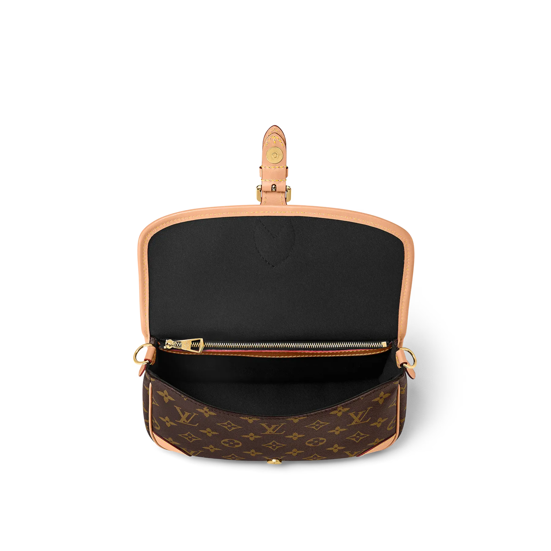 LOUIS VUITTON（ルイヴィトン）ディアヌ NM PM