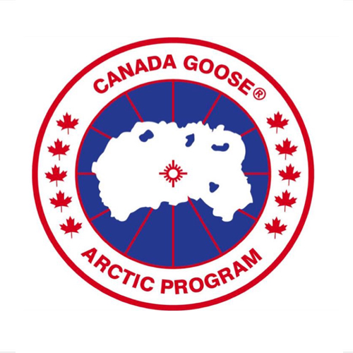 canada-goose