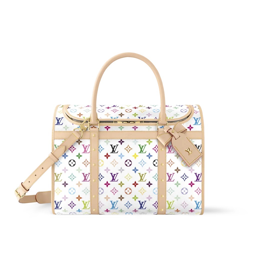 LOUIS VUITTON × TM サック･シヤン NM