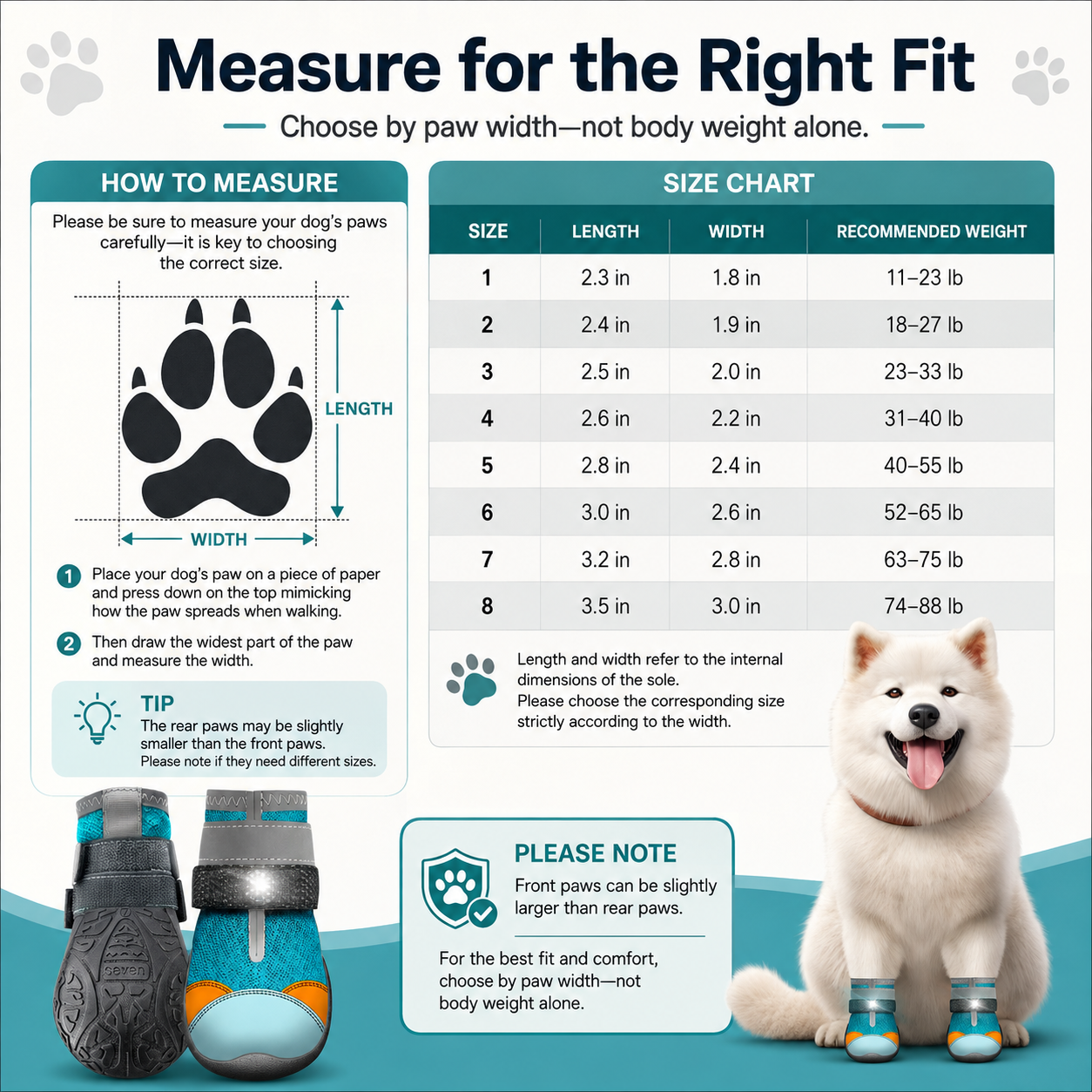 Measuring dog paw width on paper step by step