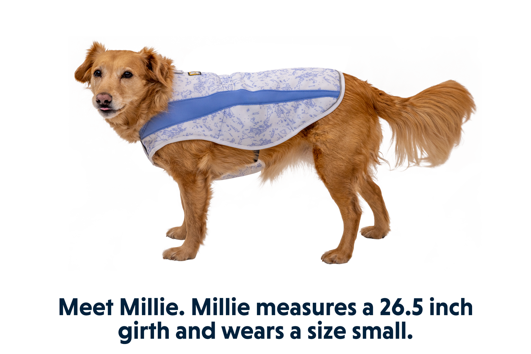 Swamp Cooler™ Cooling Dog Vest
