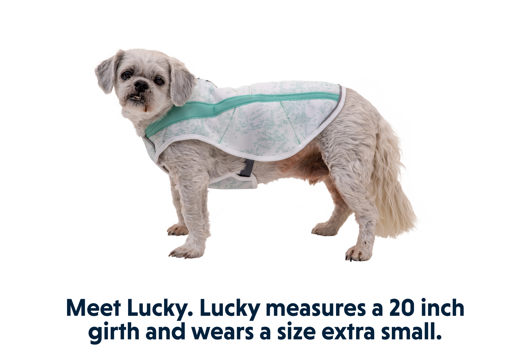 Swamp Cooler™ Cooling Dog Vest