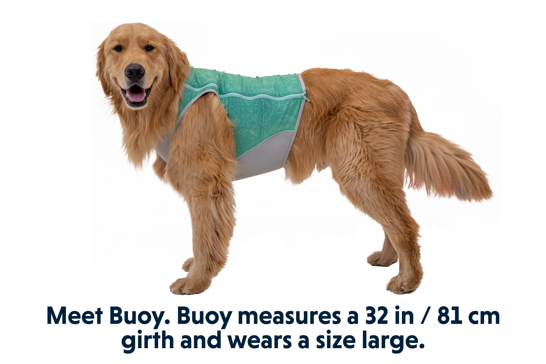 Swamp Cooler Zip™ Cooling Dog Vest