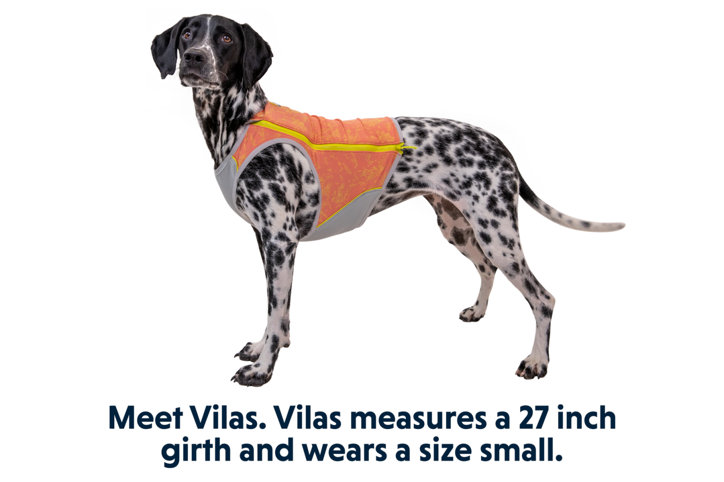 Swamp Cooler Zip™ Cooling Dog Vest