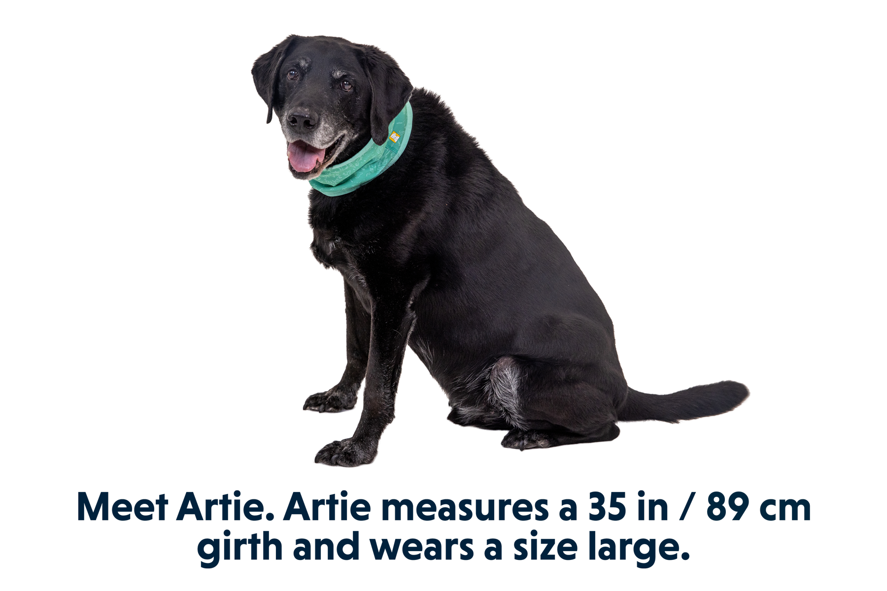 Swamp Cooler™ Cooling Neck Gaiter