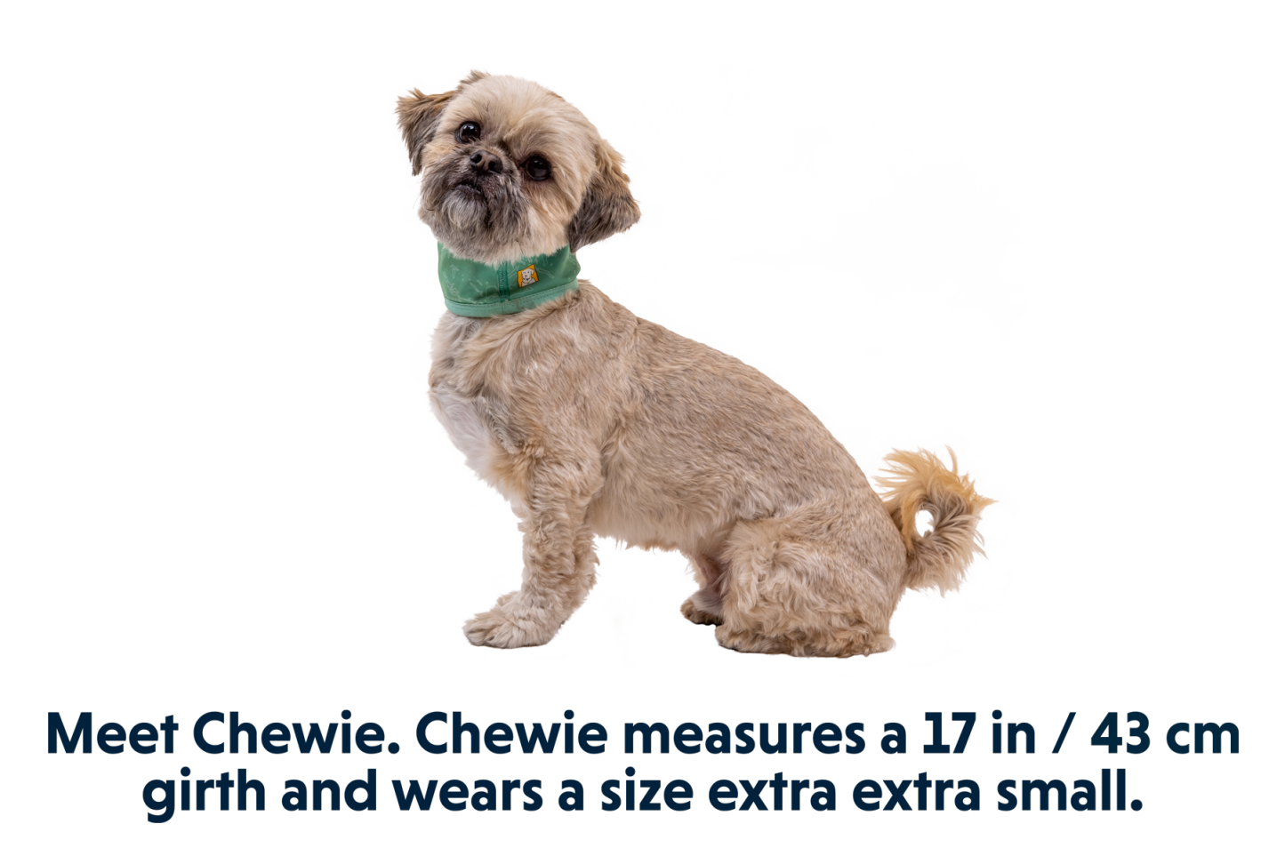 Swamp Cooler™ Cooling Neck Gaiter