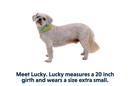 Swamp Cooler™ Cooling Neck Gaiter