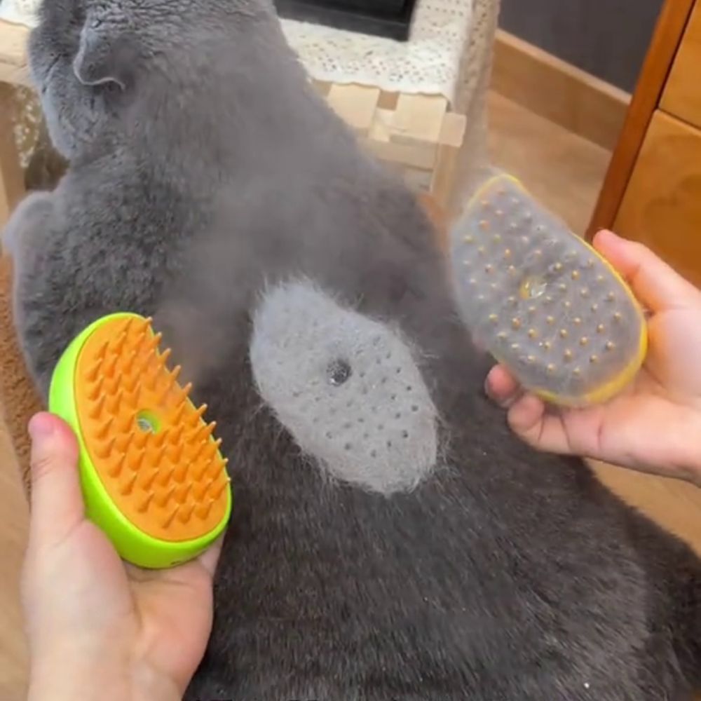 PurrSpa™ Nano Mist Cat Brush Offer