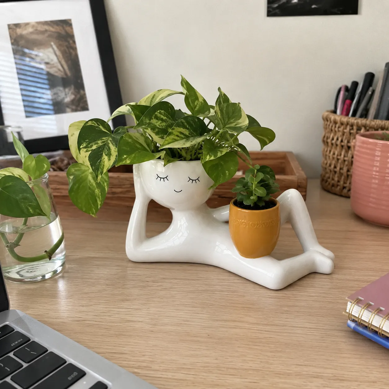 Daniel Customer Desk Planter Review