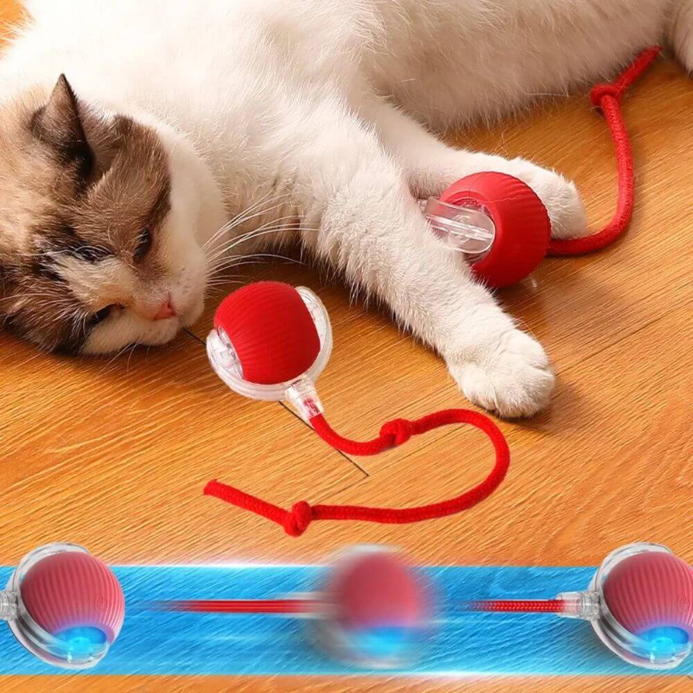 PouncePlay™ Smart Active Cat Toy