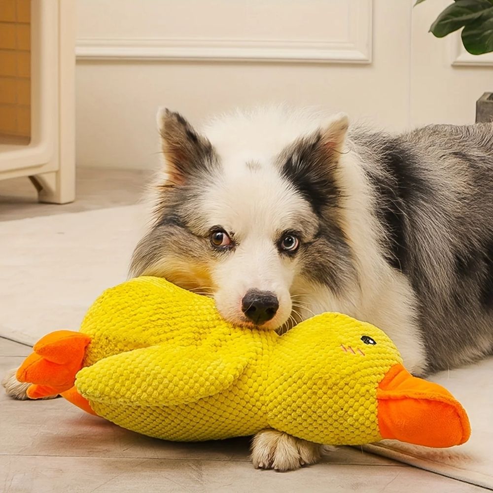 QuackPal™ Calming Duck