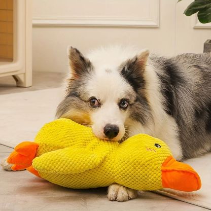 QuackPal™ Calming Duck
