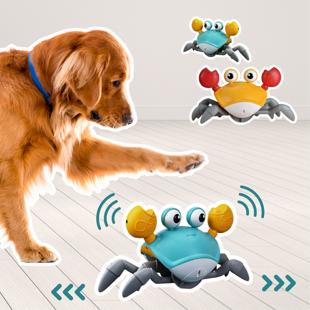 Crawling Crab™ Automatic Dog Toy