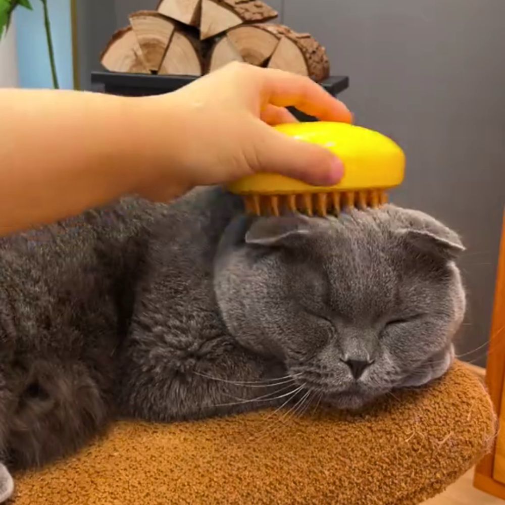 PurrSpa™ Nano Mist Cat Brush Offer