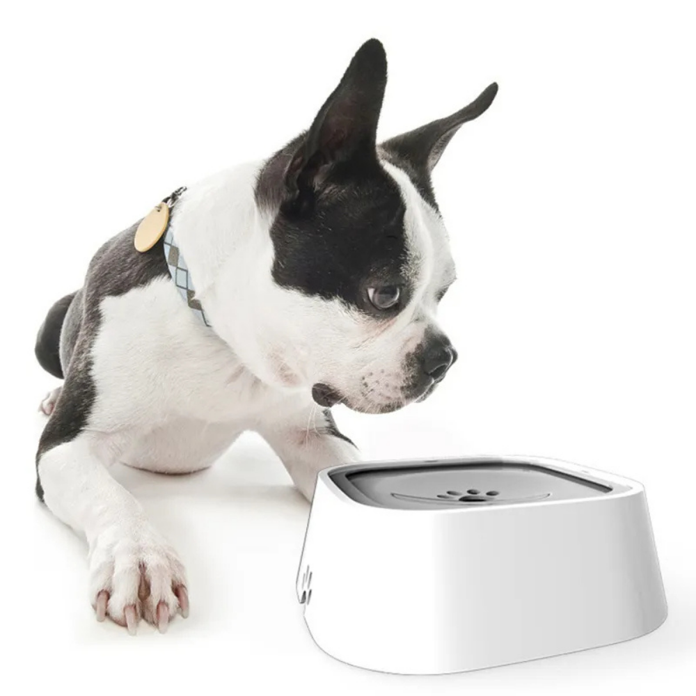 AquaGuard™ Spill Proof Water Bowl