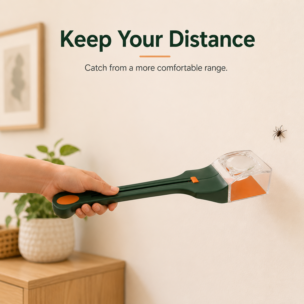 Catching insects on outdoor patio table and garden plants