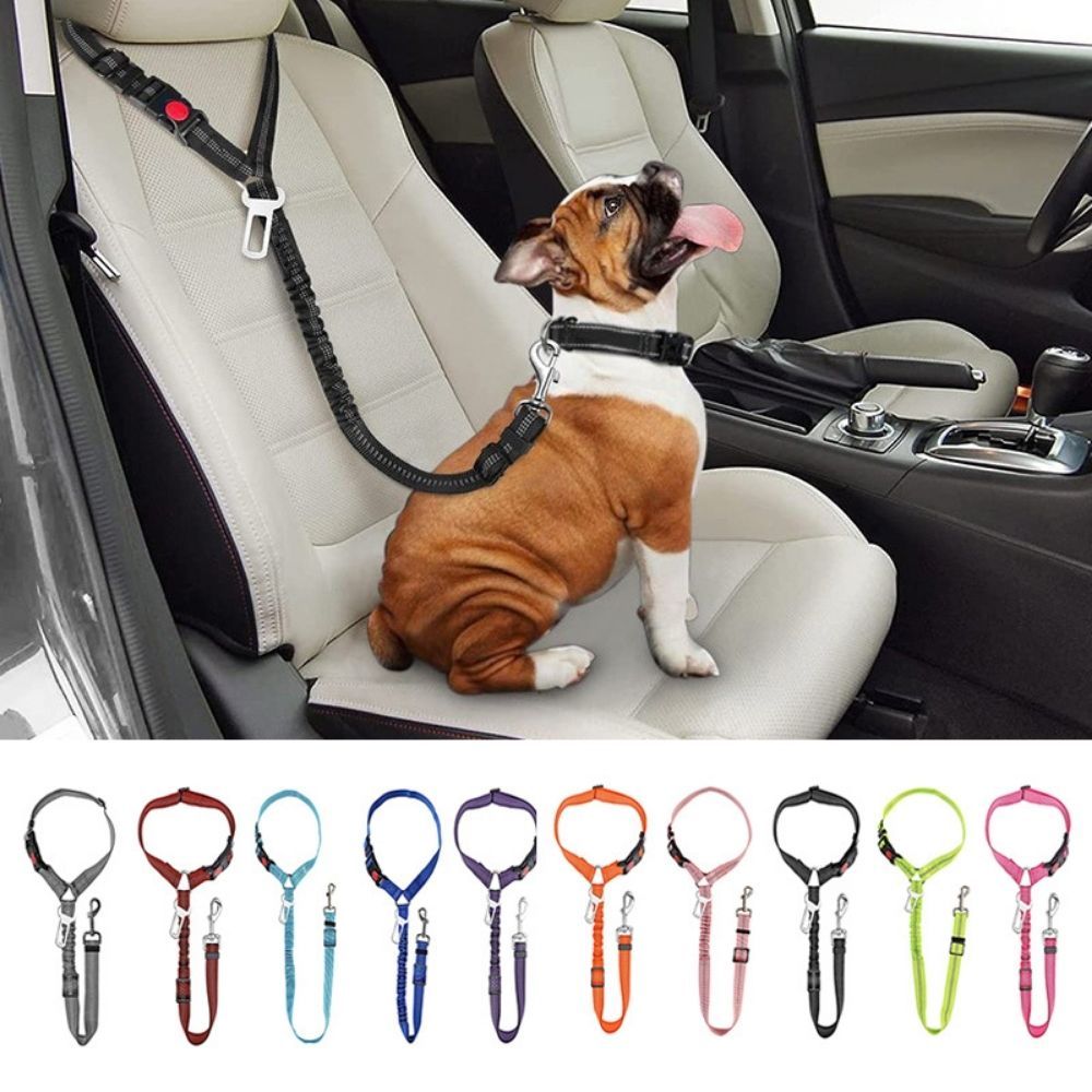 TravelBuddy™ 3-in-1 Dog Seat Belt and Leash
