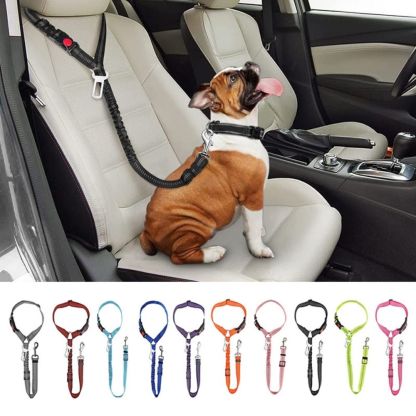 TravelBuddy™ 3-in-1 Dog Seat Belt and Leash