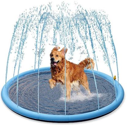 Splash-N-Wag™ Doggie Pool