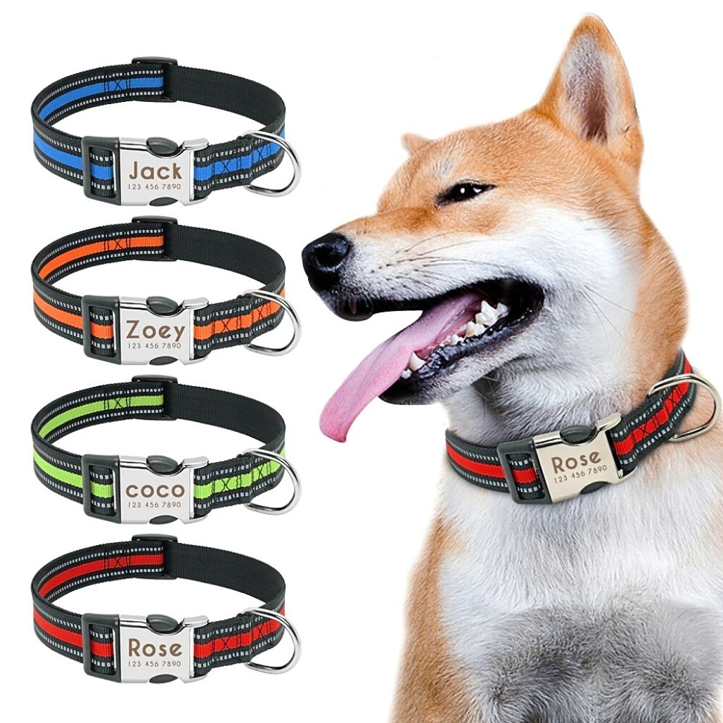 Personalized Safe-At-Night Dog Collar