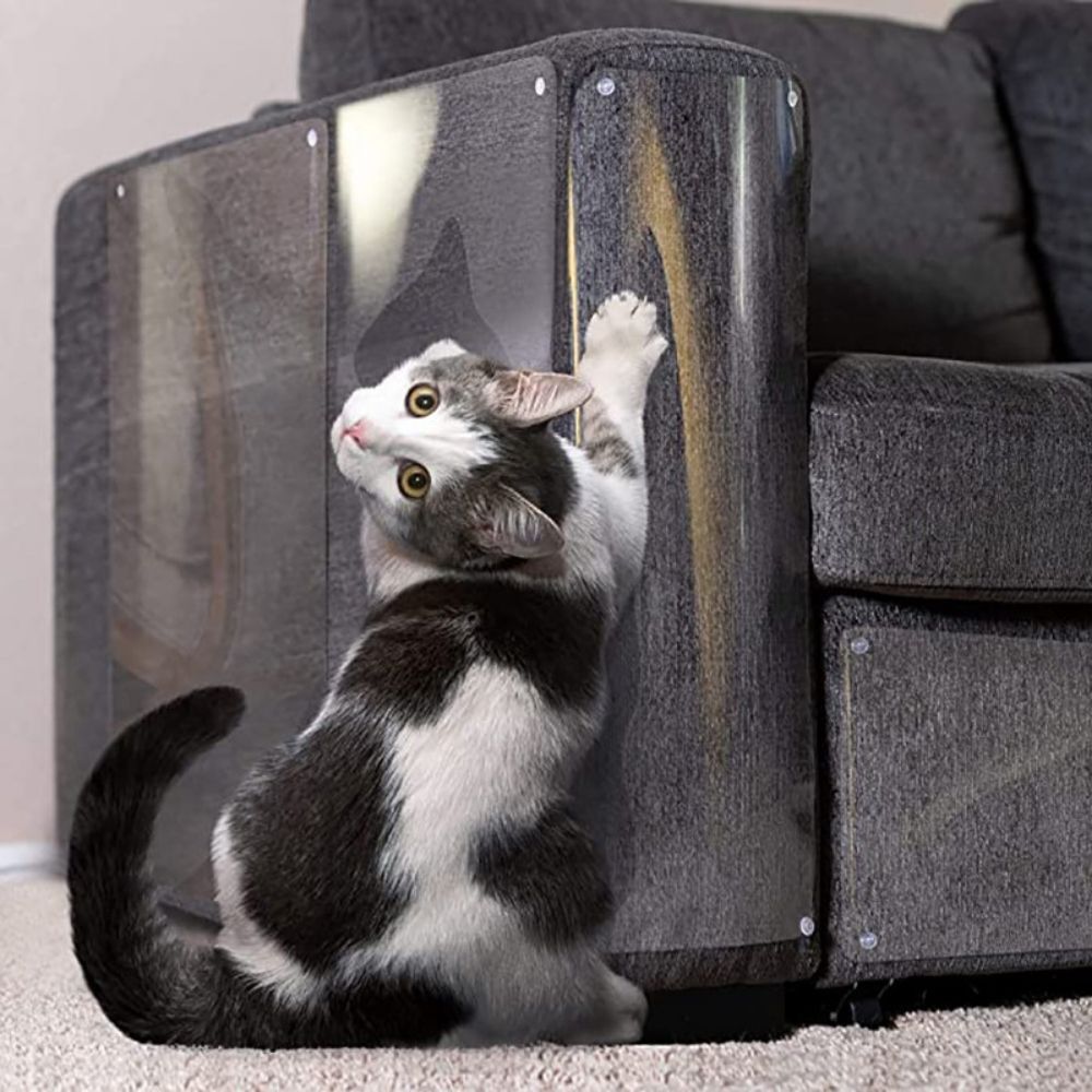 ScratchGuard™ Transparent Furniture Protector Special Offer