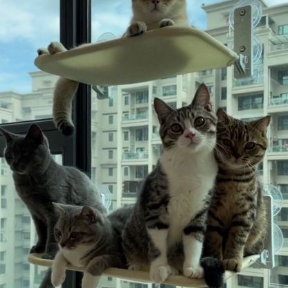 CatPerch™ Foldable Cat Hammock