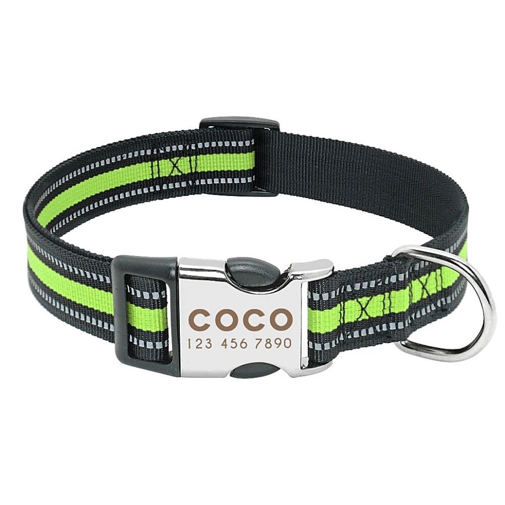 Personalized Safe-At-Night Dog Collar