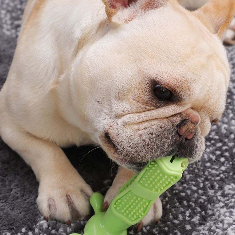 PearlyPup™ Dog Toothbrush Toy
