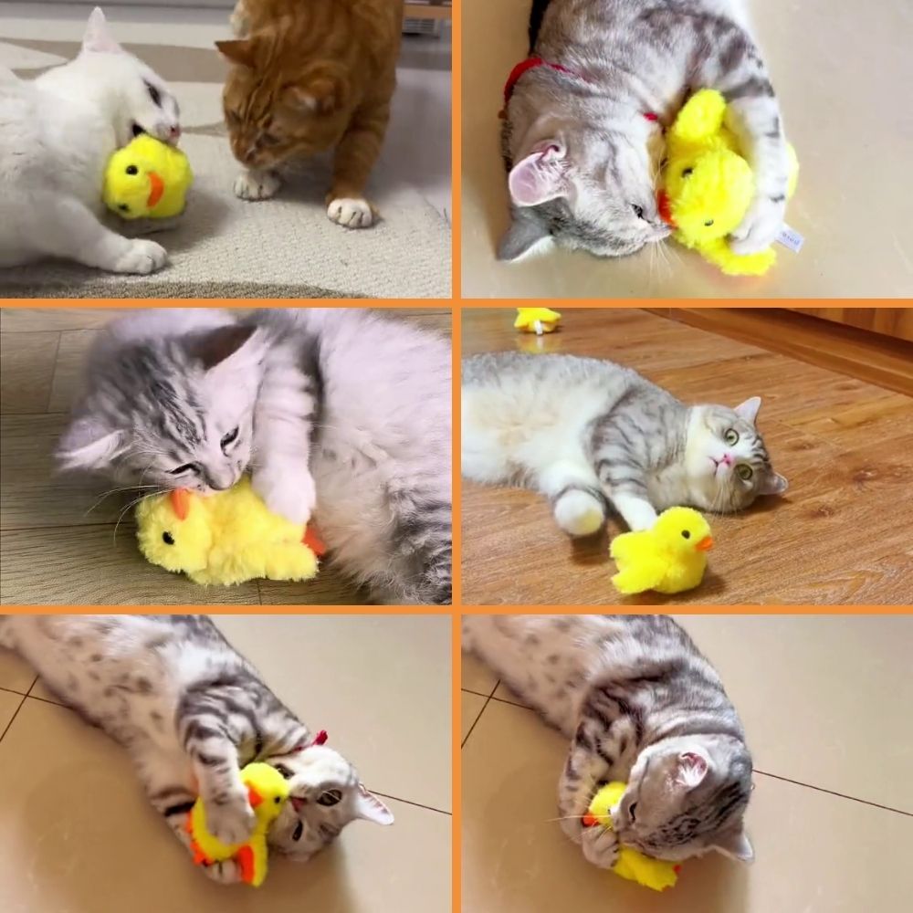 Quack Buddy™ Interactive Duck Toy