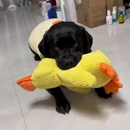 QuackPal™ Calming Duck
