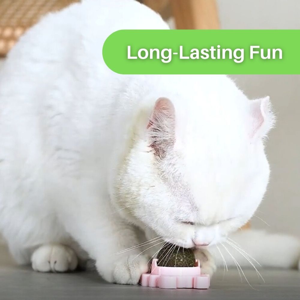 Kitty Delight™ Rotating Catnip Ball