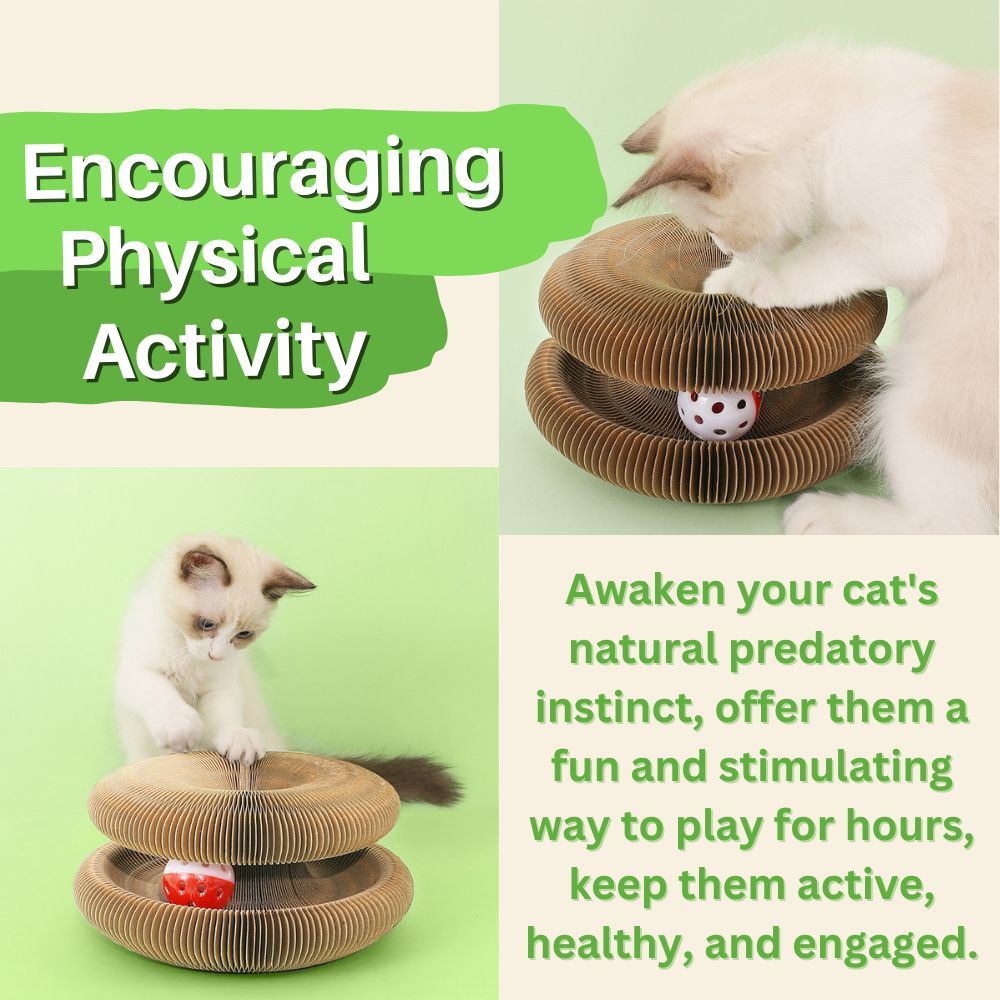 Whisker Wonders™ Multi-Shape Cat Playground