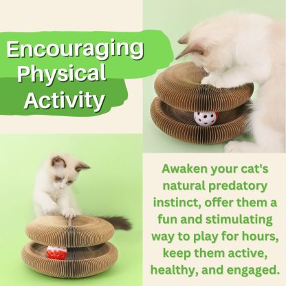 Whisker Wonders™ Multi-Shape Cat Playground