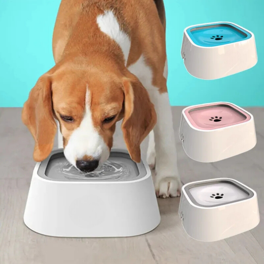 AquaGuard™ Spill Proof Water Bowl
