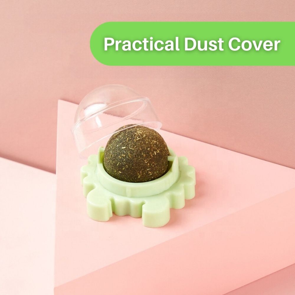 Kitty Delight™ Rotating Catnip Ball