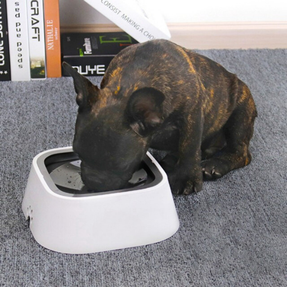 AquaGuard™ Spill Proof Water Bowl