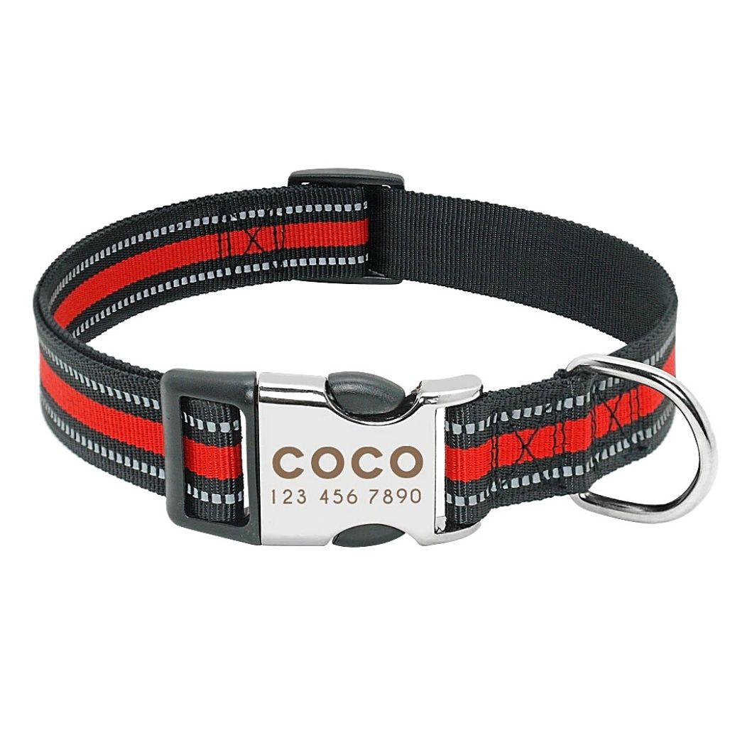 Personalized Safe-At-Night Dog Collar