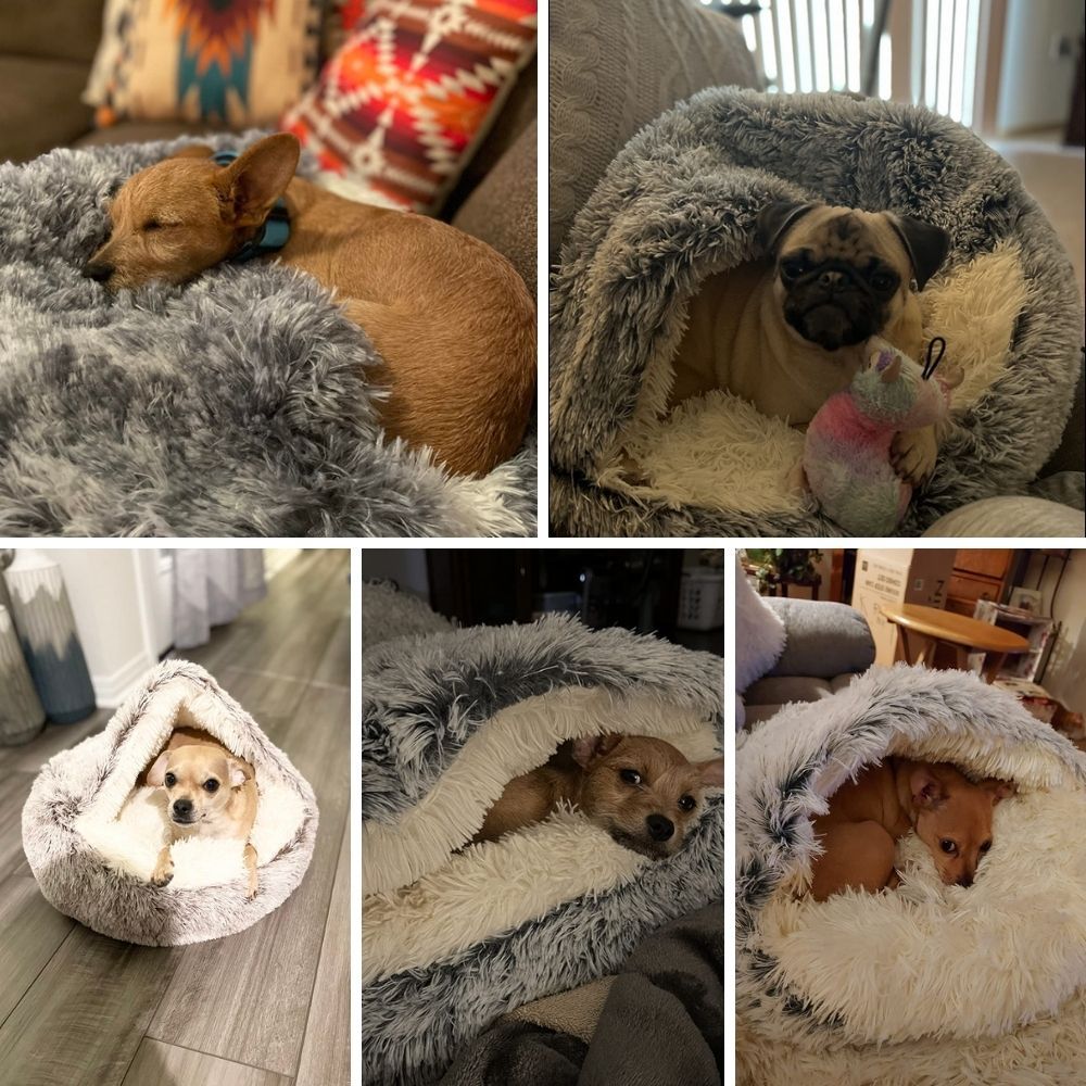 CozyCloud™ Calming Pet Bed