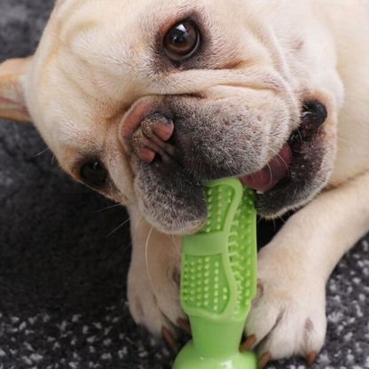 PearlyPup™ Dog Toothbrush Toy