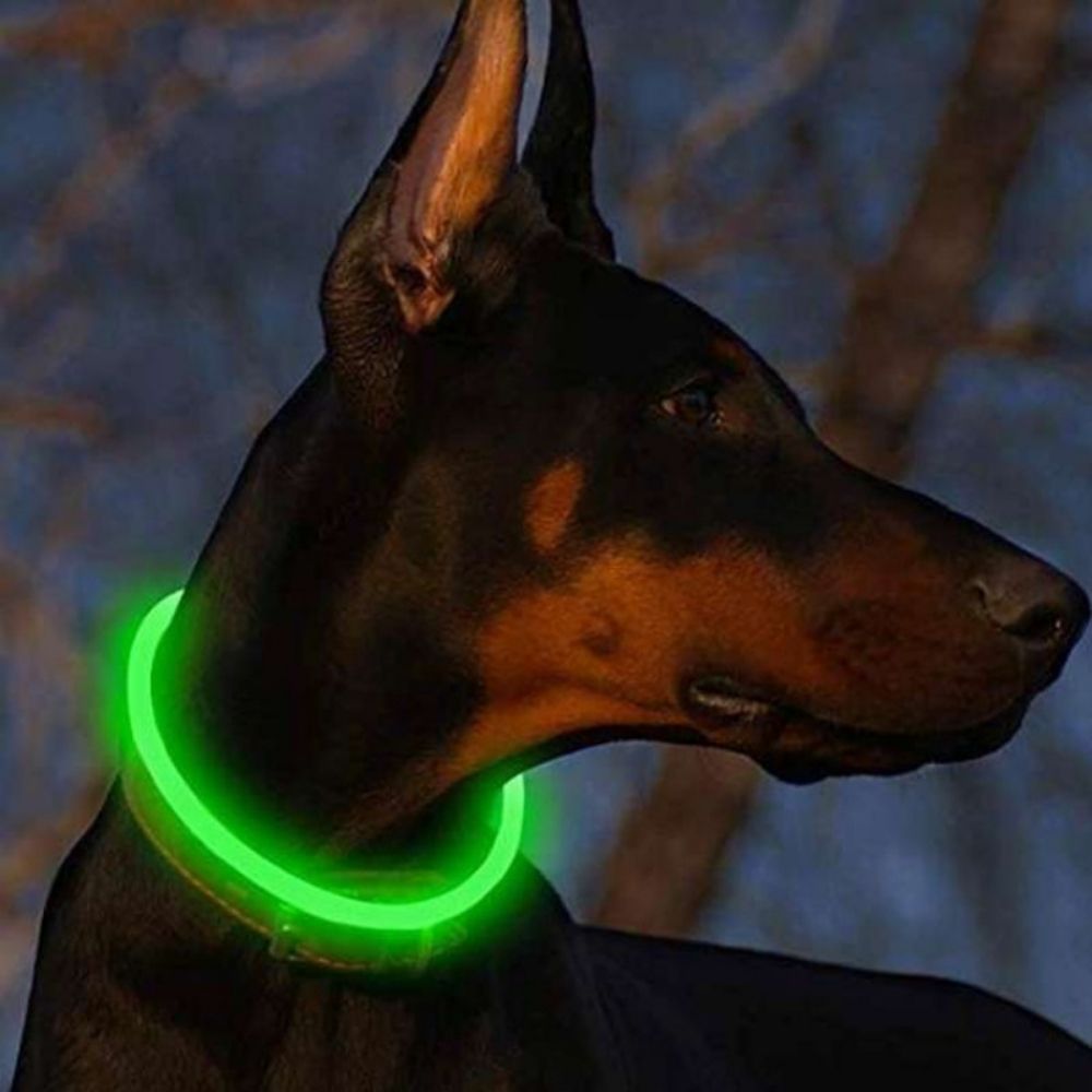 Glow Guardian™ Rechargeable LED Dog Collar