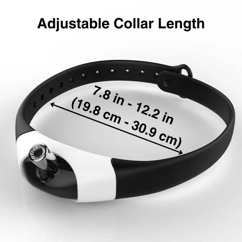 PurrPursuit™ Laser Cat Collar