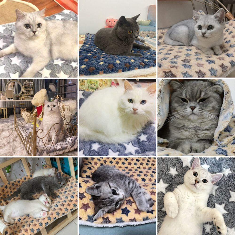 Kitty Serenity™ Calming Blanket