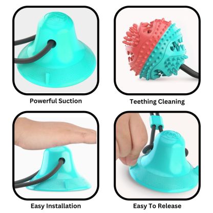ChewBuddy™ Tug 'n' Treat